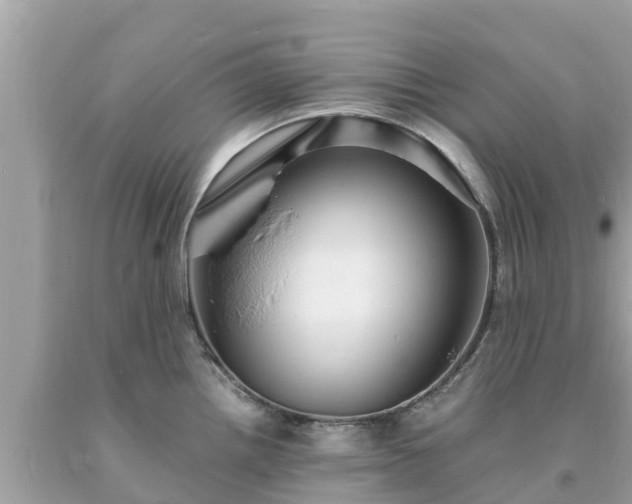 X0000093731242200710231145