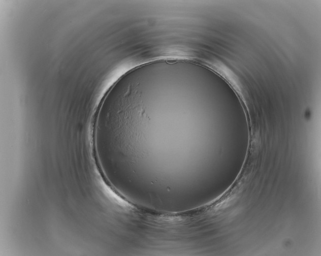 X0000093731243200710231145