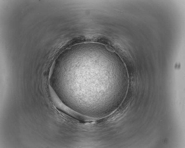 X0000093731249200710231145