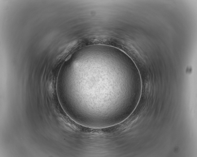 X0000093731250200710231145