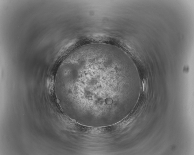 X0000093731251200710231145