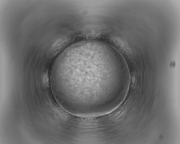 X0000093731252200710231145