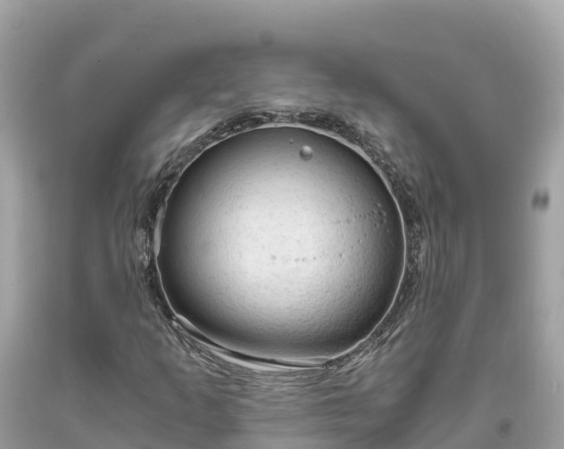 X0000093731253200710231145