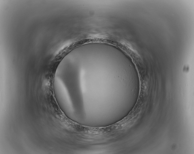 X0000093731254200710231145
