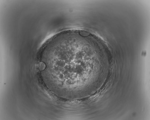 X0000093731255200710231145