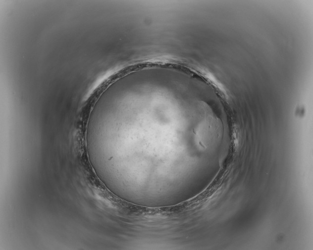 X0000093731256200710231145
