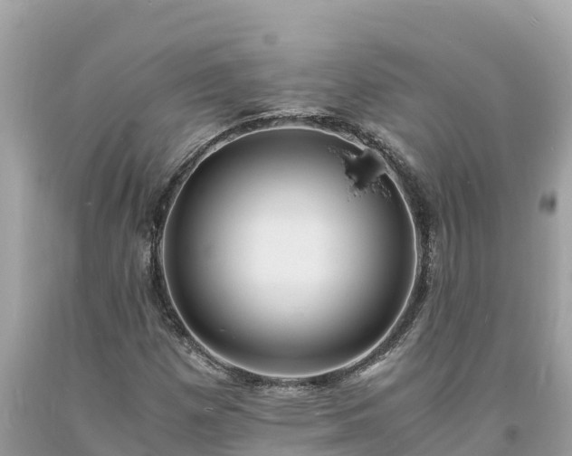 X0000093731257200710231145