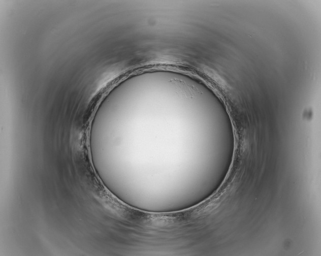 X0000093731258200710231145