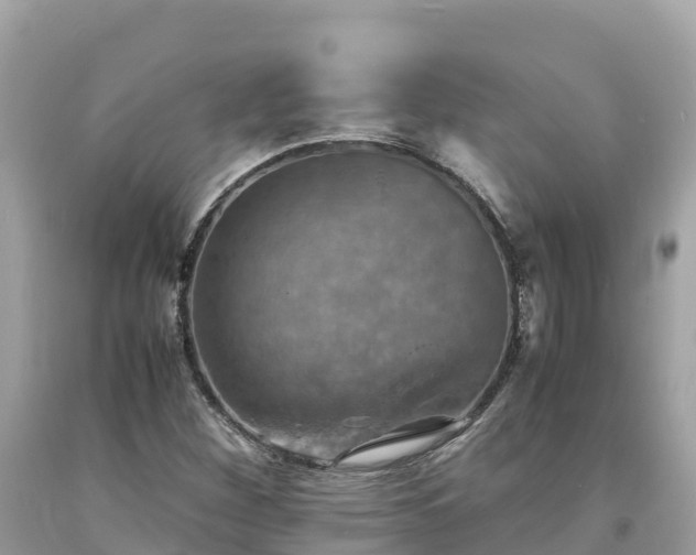 X0000093731260200710231145