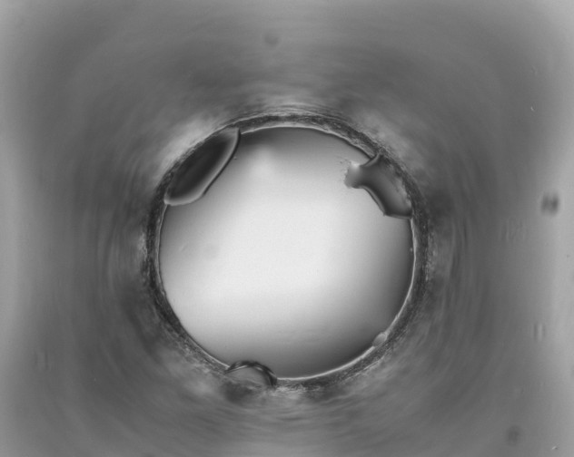 X0000093731261200710231145