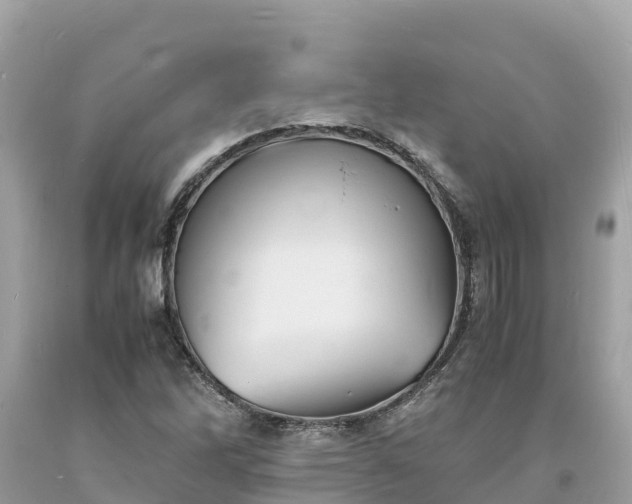 X0000093731262200710231145