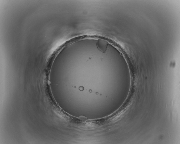 X0000093731263200710231145
