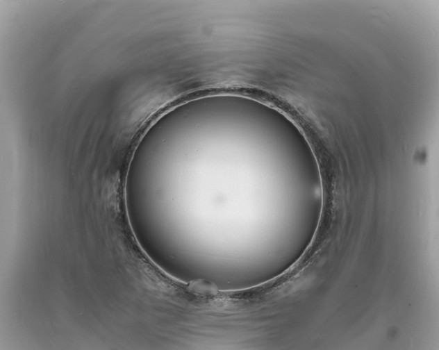 X0000093731265200710231145