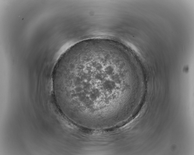 X0000093731267200710231145