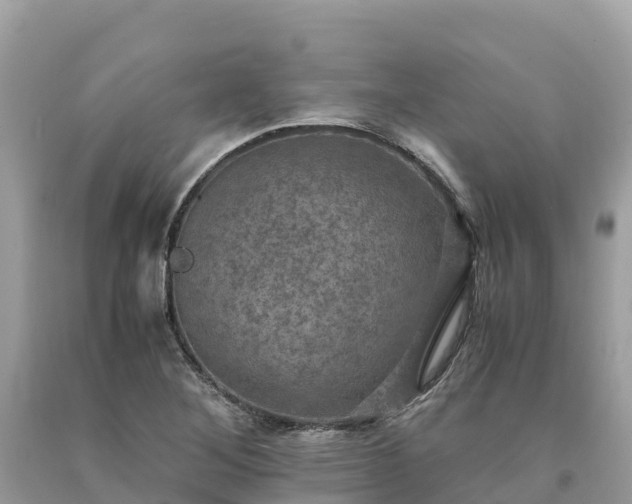 X0000093731268200710231145