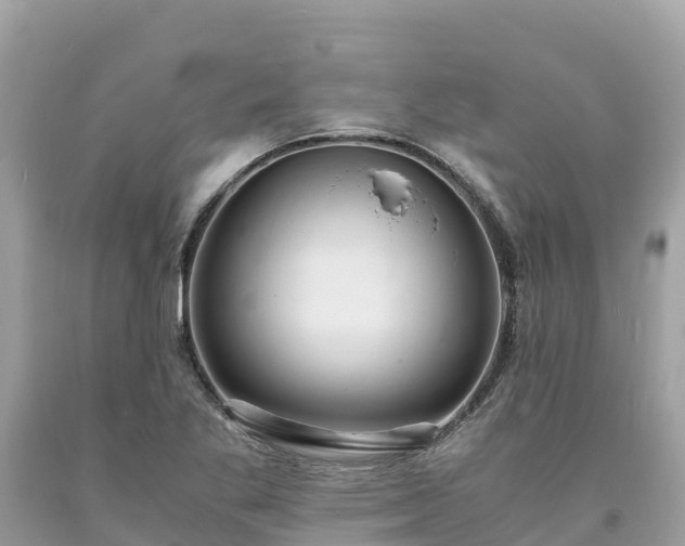 X0000093731269200710231145