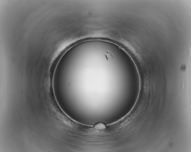 X0000093731270200710231144