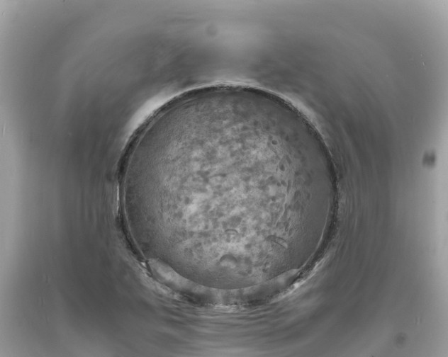 X0000093731271200710231144