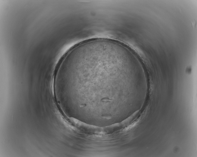 X0000093731272200710231144