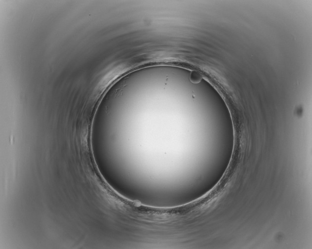 X0000093731273200710231144