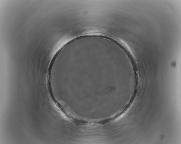 X0000093731277200710231144