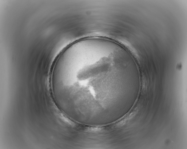 X0000093731278200710231144