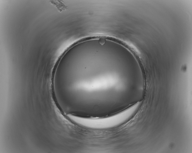 X0000093731279200710231144