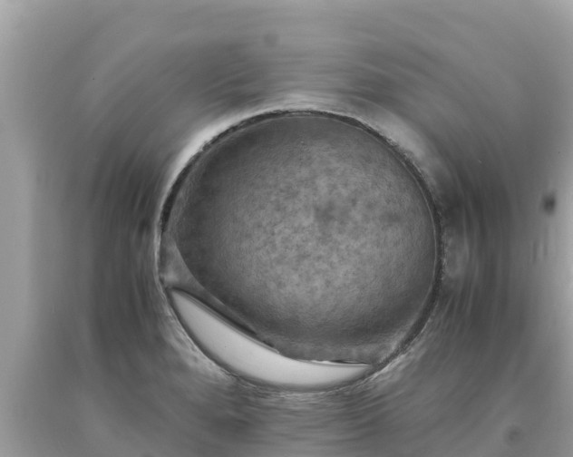 X0000093731280200710231144