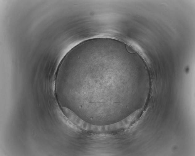 X0000093731284200710231144
