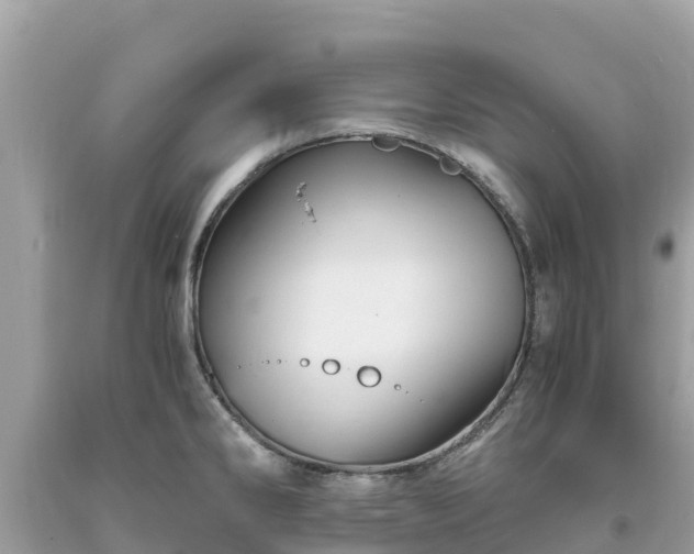 X0000093731286200710231144