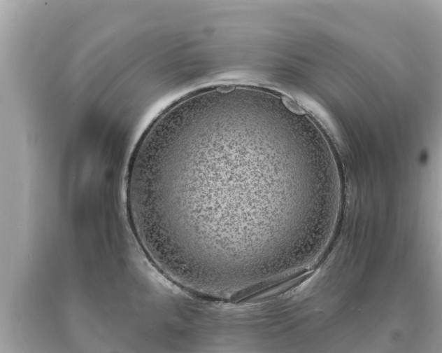 X0000093731288200710231144