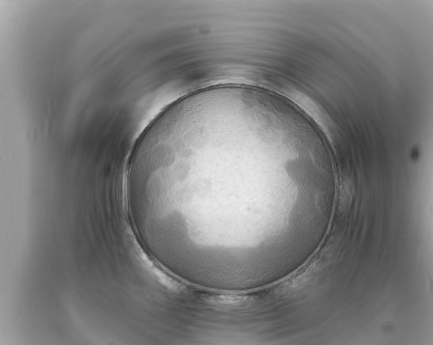 X0000093731290200710231144