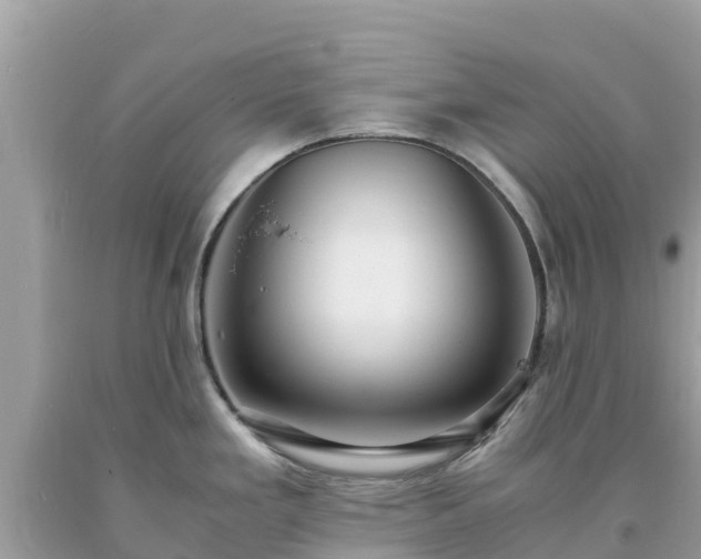 X0000093731293200710231144