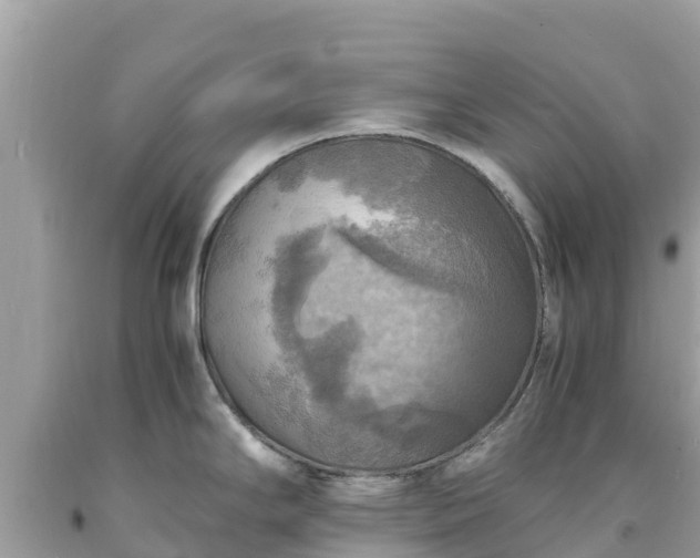 X0000093731294200710231144