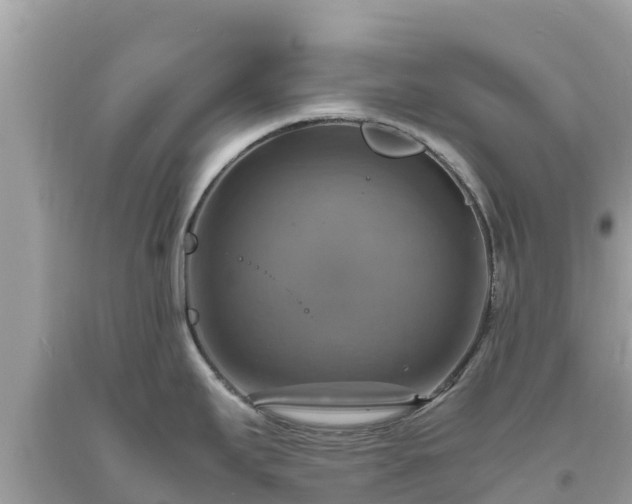 X0000093731295200710231144