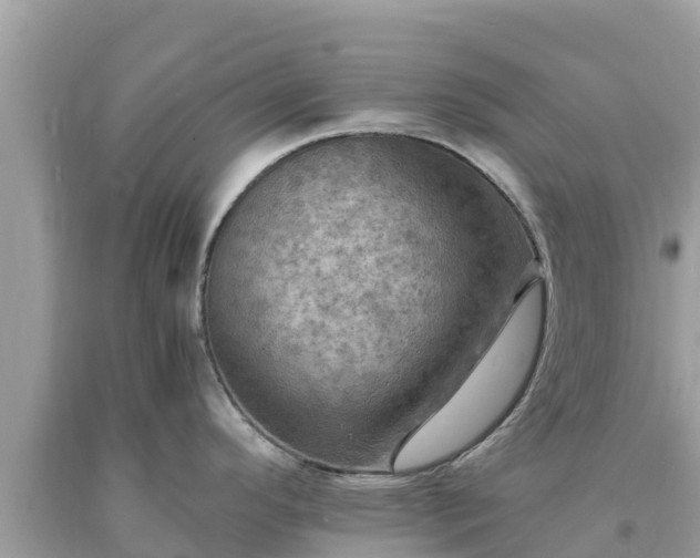 X0000093731296200710231144