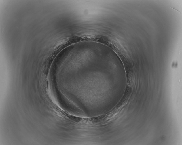 X0000093731297200710231144