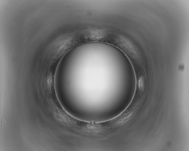 X0000093731299200710231144