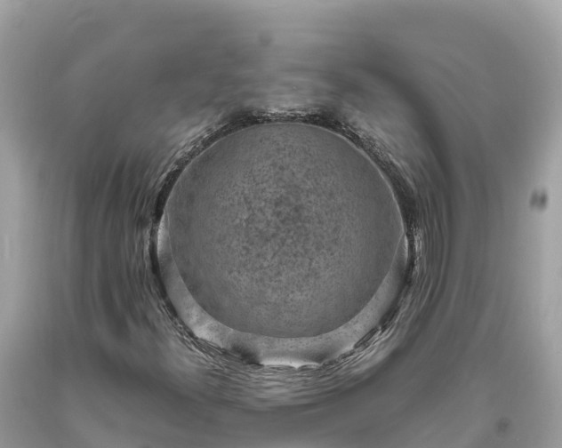X0000093731300200710231144