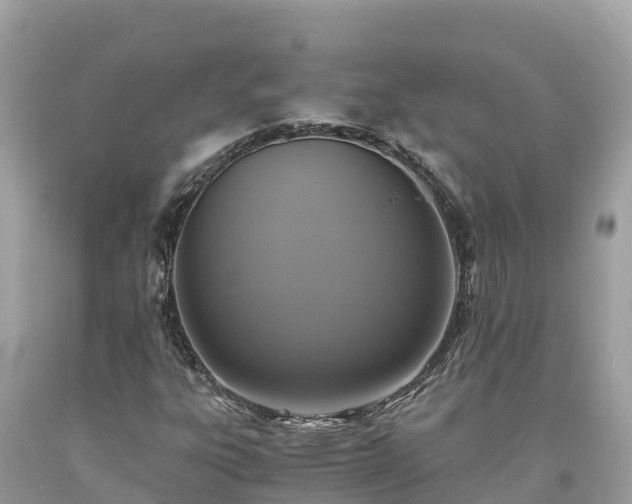 X0000093731303200710231144