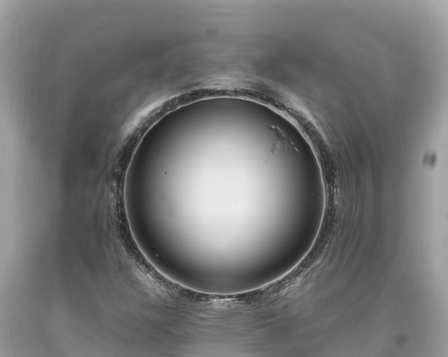 X0000093731304200710231144
