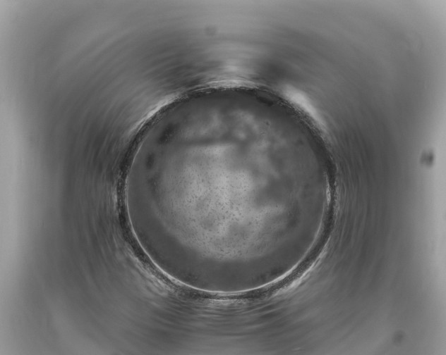 X0000093731305200710231144