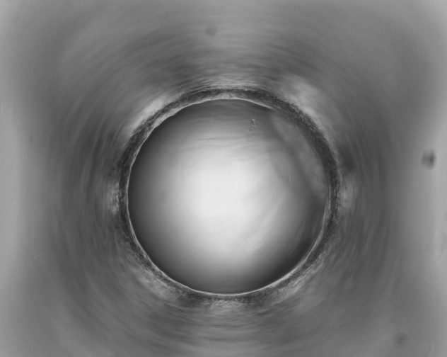 X0000093731306200710231144