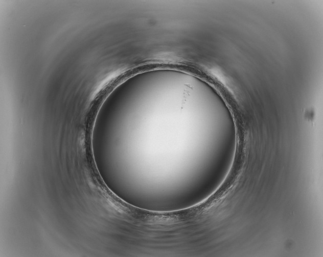 X0000093731307200710231144