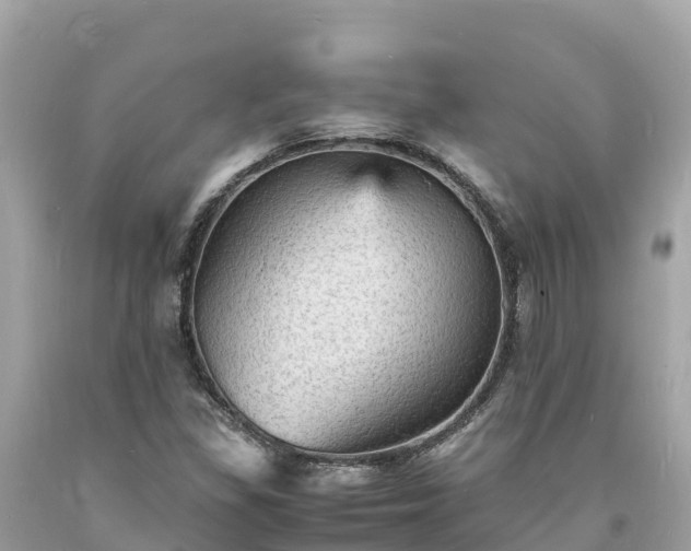 X0000093731309200710231144