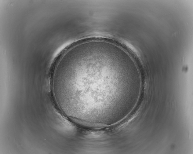 X0000093731310200710231144
