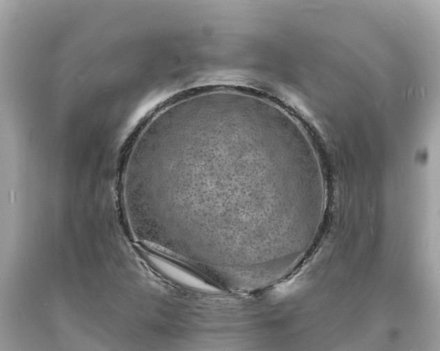 X0000093731312200710231144