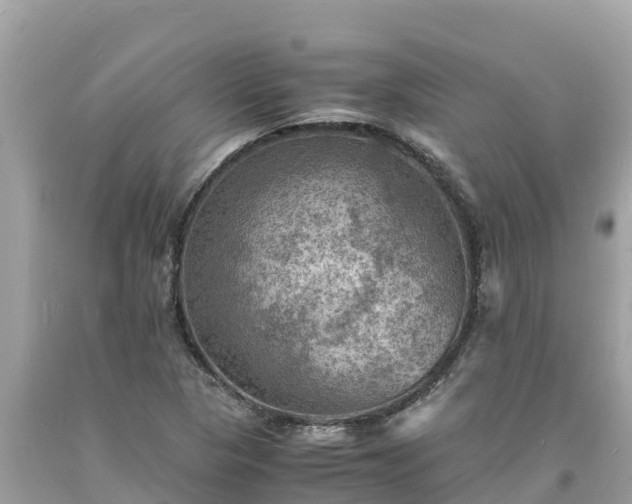 X0000093731313200710231144