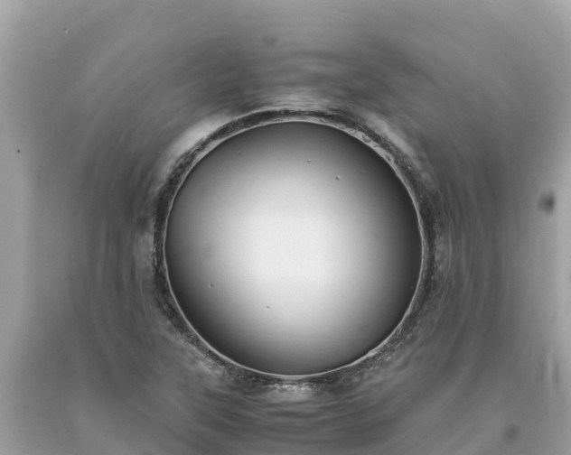 X0000093731315200710231144