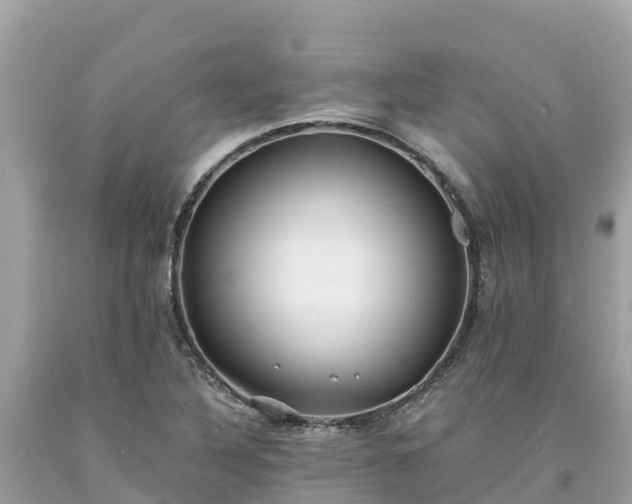 X0000093731316200710231144